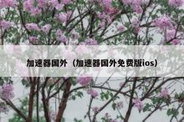 加速器国外（加速器国外免费版ios）