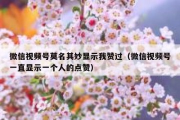 微信视频号莫名其妙显示我赞过（微信视频号一直显示一个人的点赞）