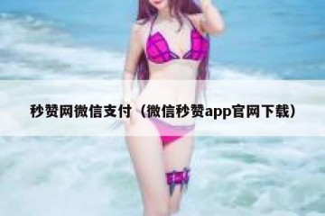 秒赞网微信支付（微信秒赞app官网下载）
