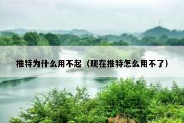 推特为什么用不起（现在推特怎么用不了）