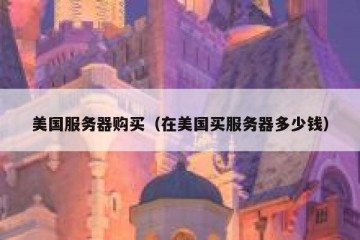 美国服务器购买（在美国买服务器多少钱）