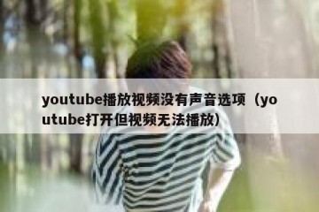 youtube播放视频没有声音选项（youtube打开但视频无法播放）