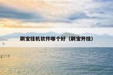 刷宝挂机软件哪个好（刷宝开挂）