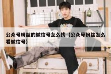 公众号粉丝的微信号怎么找（公众号粉丝怎么看微信号）
