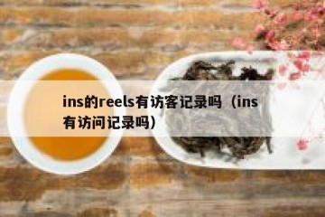 ins的reels有访客记录吗（ins 有访问记录吗）