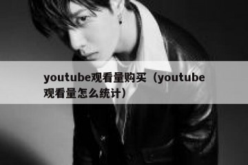 youtube观看量购买（youtube观看量怎么统计）