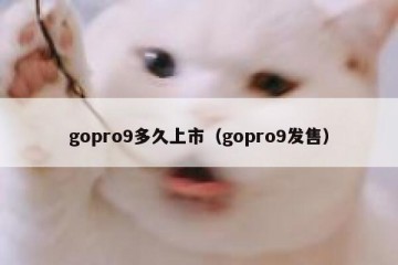 gopro9多久上市（gopro9发售）