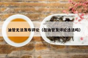 油管无法发布评论（在油管发评论违法吗）