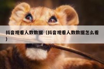 抖音观看人数数据（抖音观看人数数据怎么看）