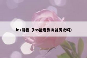 ins能看（ins能看到浏览历史吗）