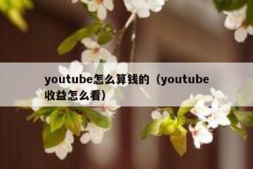 youtube怎么算钱的（youtube收益怎么看）