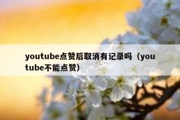 youtube点赞后取消有记录吗（youtube不能点赞）