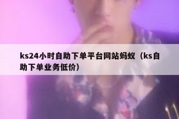 ks24小时自助下单平台网站蚂蚁（ks自助下单业务低价）
