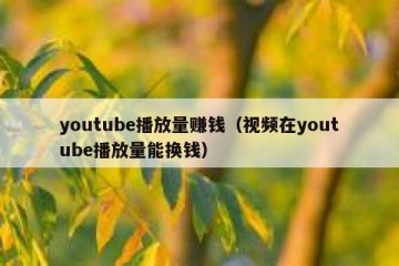 youtube播放量赚钱（视频在youtube播放量能换钱）