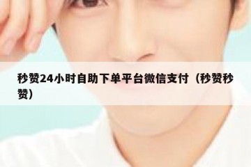 秒赞24小时自助下单平台微信支付（秒赞秒赞）