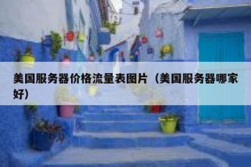 美国服务器价格流量表图片（美国服务器哪家好）