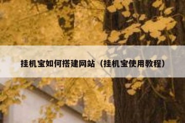 挂机宝如何搭建网站（挂机宝使用教程）