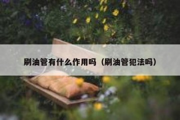 刷油管有什么作用吗（刷油管犯法吗）