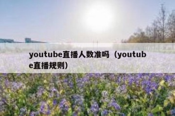 youtube直播人数准吗（youtube直播规则）