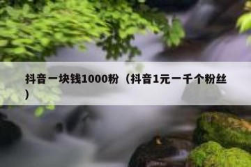 抖音一块钱1000粉（抖音1元一千个粉丝）