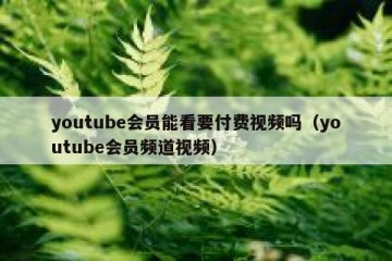 youtube会员能看要付费视频吗（youtube会员频道视频）