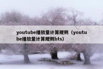 youtube播放量计算规则（youtube播放量计算规则bts）