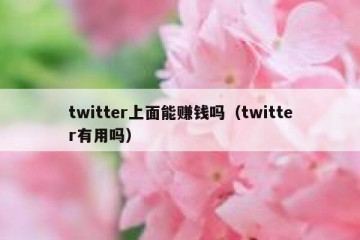 twitter上面能赚钱吗（twitter有用吗）