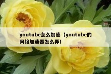 youtube怎么加速（youtube的网络加速器怎么弄）