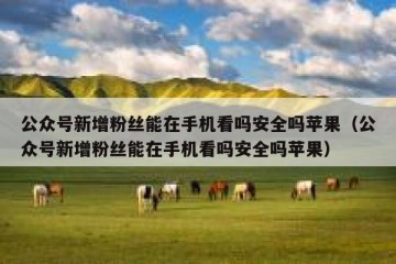 公众号新增粉丝能在手机看吗安全吗苹果（公众号新增粉丝能在手机看吗安全吗苹果）
