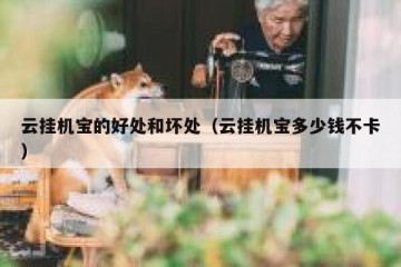 云挂机宝的好处和坏处（云挂机宝多少钱不卡）