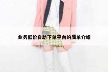 业务低价自助下单平台的简单介绍