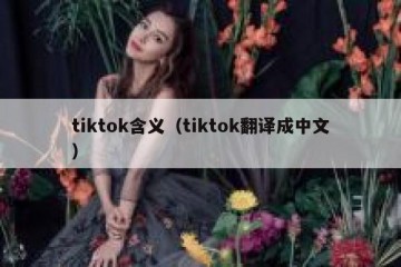 tiktok含义（tiktok翻译成中文）