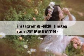 instagram访问数据（instagram 访问记录看的了吗）