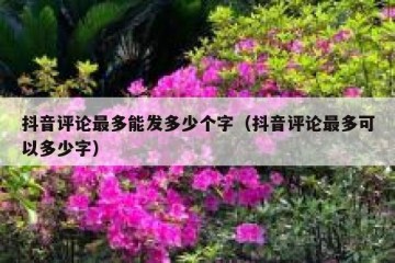 抖音评论最多能发多少个字（抖音评论最多可以多少字）