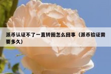 派币认证不了一直转圈怎么回事（派币验证需要多久）