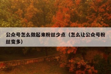 公众号怎么做起来粉丝少点（怎么让公众号粉丝变多）