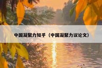 中国凝聚力知乎（中国凝聚力议论文）