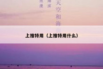 上推特用（上推特用什么）
