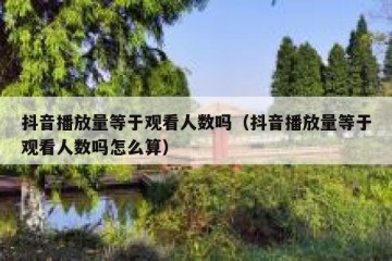 抖音播放量等于观看人数吗（抖音播放量等于观看人数吗怎么算）