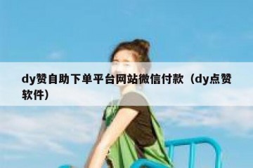 dy赞自助下单平台网站微信付款（dy点赞软件）