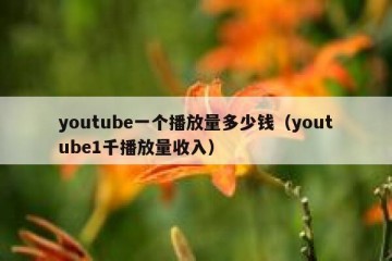 youtube一个播放量多少钱（youtube1千播放量收入）