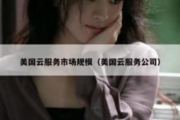 美国云服务市场规模（美国云服务公司）