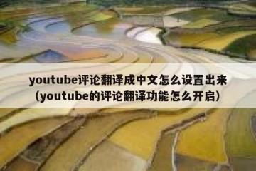 youtube评论翻译成中文怎么设置出来（youtube的评论翻译功能怎么开启）