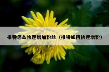 推特怎么快速增加粉丝（推特如何快速增粉）