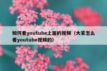 如何看youtube上面的视频（大家怎么看youtube视频的）