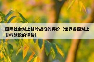 国际社会对上甘岭战役的评价（世界各国对上甘岭战役的评价）