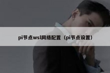 pi节点wsl网络配置（pi节点设置）