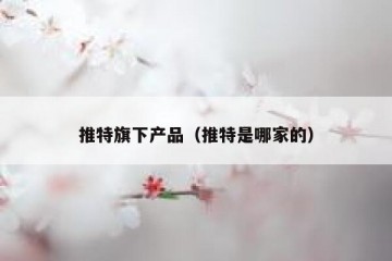 推特旗下产品（推特是哪家的）