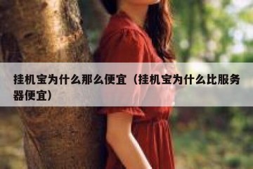 挂机宝为什么那么便宜（挂机宝为什么比服务器便宜）