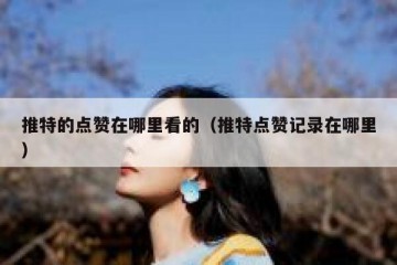 推特的点赞在哪里看的（推特点赞记录在哪里）